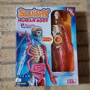 Smartlab Body Squishy Human Body Science Lab Educational Toy Grade 3-8 SmartLab ...